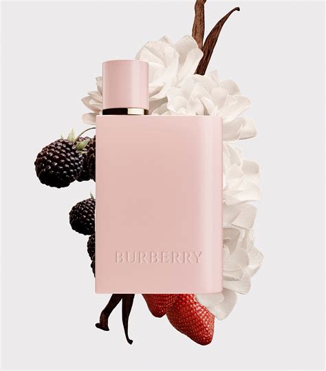 burberry her eau de parfum price|where to buy burberry her.